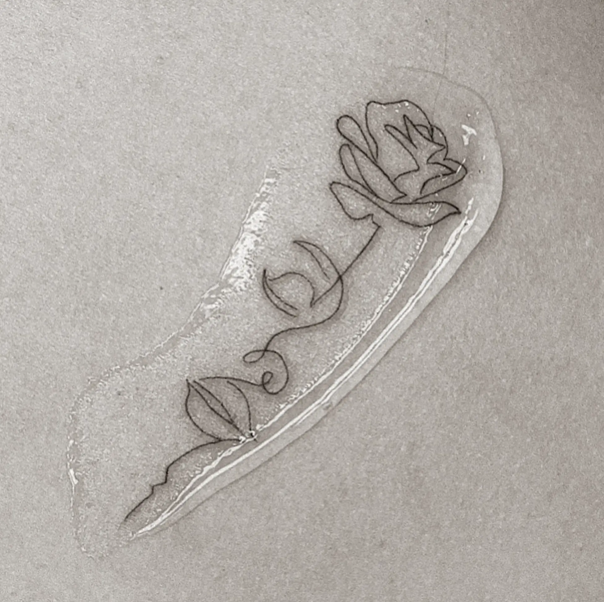 infection control certificate tattoo